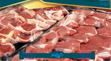 تعرف على أسعار الأضاحي واللحوم اليوم الاثنين 2 يونيو 2025 في أسواق مطروح